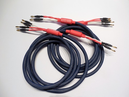 Legend audio piedi wire - 7, bi-wire